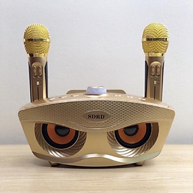 Mua Mẫu Mới Loa Karaoke SD306 Plus Tặng Kèm 2 Mic Không Dây