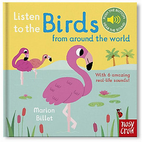 Listen to the Birds From Around the World