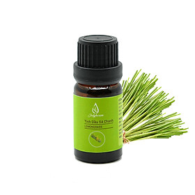 Tinh dầu Sả Chanh 10ml JULYHOUSE