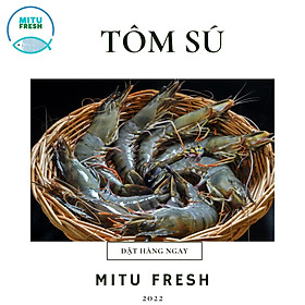 Tôm sú ngộp size 45-50 con kg