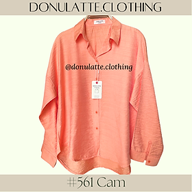 Áo sơ mi voan tơ nữ dáng fit dài tay kiểu dáng basic nhiều màu sắc - donulatte.clothing Colorful Shirt