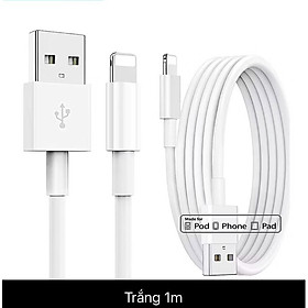 Mua Dây cáp sạc nhanh 1 mét  đầu usb cho phone 13  12  11  Xs/max  X  7 Plus - cáp usb to light