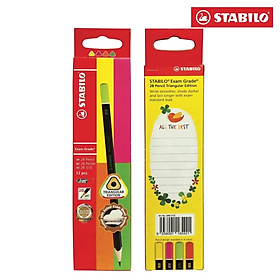 Hộp bút chì gỗ STABILO Exam Grade 288(T) HB/2B - Hộp 12 bút chì 2B thân tam giác đen đuôi màu (PC288T-AT/12-2B)