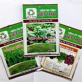 Combo hạt giống_3 loại rau ăn lá