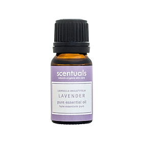 Tinh dầu oải hương - Pure essential oil 10 ml - LAVENDER