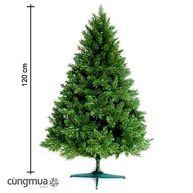 Mua Cây Thông Noel (Cao 120cm)