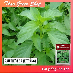 Hạt Giống Rau Thơm Xả (Lá É Trắng) Thái Lan