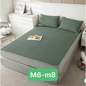 Chiếu Điều Hòa Cao Su Non Latex hàng thái nhập khẩu siêu mát mùa hè tặng kèm 2 vỏ gối - 1m8x2m