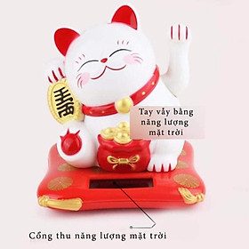 Mua MÈO THẤN TÀI VẪY TAY GỌI KHÁCH CHẠY NĂNG LƯỢNG MẶT TRỜI SIÊU YÊU