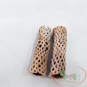 Lũa cholla Teddy Bear Cactus xương rồng ruột lớn trang trí bể đồ chơi hang cá tép