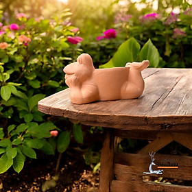 Chậu Gốm Đất Nung Hình Con Ếch Nằm  - Chậu Decor và Trồng Cây