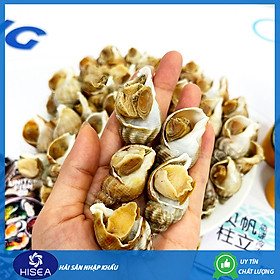 Ốc bulot Pháp ( size 20-30 con) - 1 kg