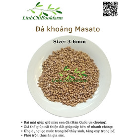 Đá Masato size 3-6mm (túi 1kg)- dùng rải mặt chậu giữ màu sen đá, xương rồng