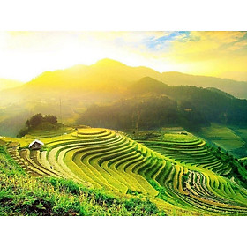 TOUR HẠ LONG - NINH BÌNH - HÀ NỘI - SAPA 6N5Đ - ĐẤT VIỆT TOUR