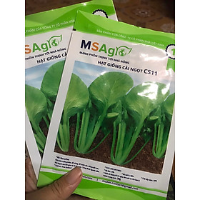 Mua Hạt Giống Rau Cải Ngọt CS 11 - MSAgro gói 20g