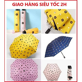 Dù Đi Mưa Gấp Gọn Hình Gấu 2 Lớp Chống Thấm Tốt