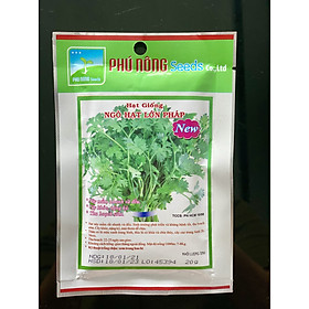 Mua HẠT GIỐNG NGÒ HẠT LỚN PHÚ NÔNG