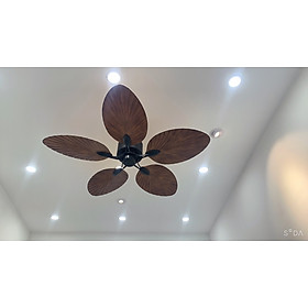 Mua Quạt trần trang trí  quạt trần đèn  quạt trần cánh lá cọ động cơ DC điều khiển từ xa tiện lợi  6 tốc độ gió quay tiến lùi làm mát hút ẩm 70511