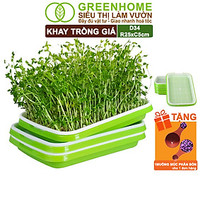 Khay Trồng Rau Greenhome, D34xR25xC5cm, Nhựa Nguyên Sinh, An Toàn, Chuyên Trồng Giá, Rau Mầm Tại Nhà, Không Cần Đất