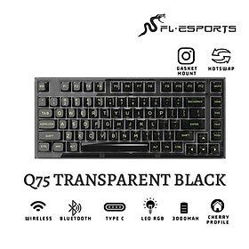 Bàn phím máy tính FL-Esports Q75 SAM White Black_Mới, hàng chính hãng