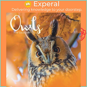 Sách - Owls Mini Calendar 2024 by  (UK edition, paperback)
