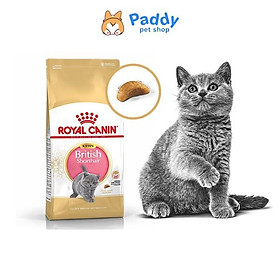 [400g] Hạt Royal Canin British Shorthair Kitten Cho Mèo Anh Lông Ngắn Nhỏ