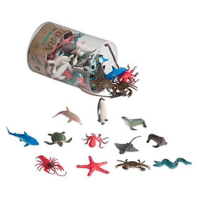 Sinh vật biển TERRA B.Toys AN6002