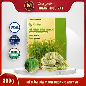 Mì Rau Củ Mầm Lúa Mạch Organic Anpaso 120g/ 300g - Cung Cấp Nhiều Vitamin, Giàu Sắt, Protein Thực Vật, Chất Xơ, Tốt Cho Sức Khỏe, Tăng Cường Hệ Miễn Dịch, Hỗ Trợ Tiêu Hóa - Người Tập Gym và Yoga, Ăn Kiêng, Ăn Chay, Giảm Cân, Eat Clean