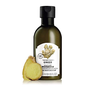 Dầu Xả The Body Shop Ginger 250ml