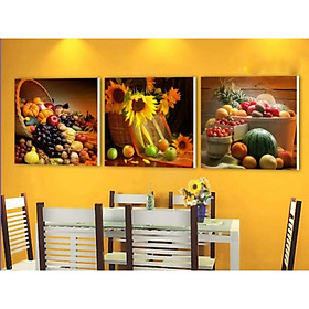 Tranh Treo Tường Hiện Đại Phòng Khách - Tĩnh Vật 29585