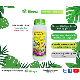 Phân bón lá trung vi lượng Boramin Ca 1 lít Cứng cây - Tăng đậu trái