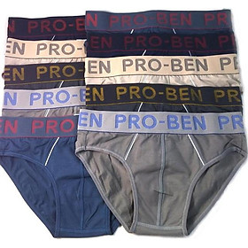 Combo 10 quần lót nam Pro Ben bảng lớn MS950