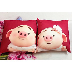 Mua Cặp vỏ gối đôi 45-45cm Đôi heo