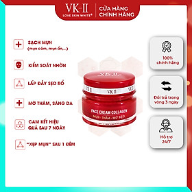 Hình ảnh Kem Ngừa Mụn Thâm Sẹo VK II ( 10g/20g )