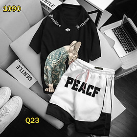 Set bộ áo thun unisex nam,nữ tay lở ,bộ đồ in nhiệt thể thao ,quần đùi ,short, cọc tay phong cách BIKEN