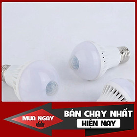 Mua Combo 20 bóng đèn led cầu thang cảm ứng chuyển động thông minh tự động bật tắt khi có người