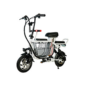 XE ĐẠP ĐIỆN NHẬP KHẨU THELI 04 15AH