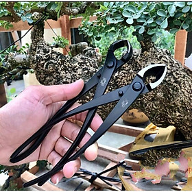 Mua Cặp Kìm cạp tròn xéo nguyên khối