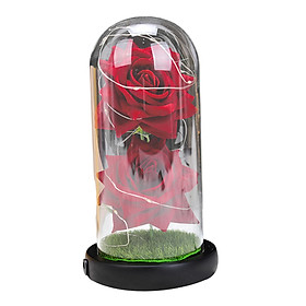 acituna Beauty and The Beast Red Rose in on Wood Base, LED Lights Forever