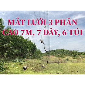 30m lưới 3p bẫy chim khuyên ri sẻ sắc ô lưới tàn hình.