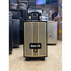 Mua Loa kéo Karaoke Bluetooth Best Sound BD-1271: Bass 30  Có 2 Micro không dây đi kèm