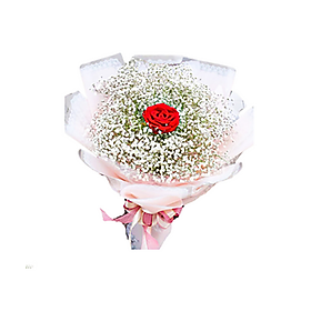Mua Hoa Sinh Nhật Baby – 1116