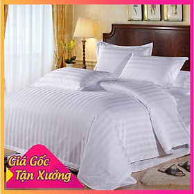 Vỏ Gối Cotton Khách Sạn Trắng Sọc T 258 40x60, 50x70, 60x80 vỏ ôm