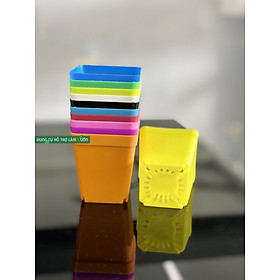 10 Chậu ươm cây đủ màu 6 x 7cm  - ươm cây giống - ươm cây con