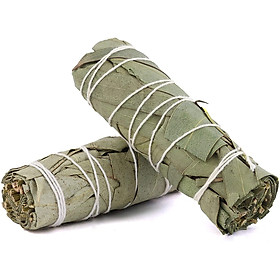 Mua Bó xô Bảo vệ (Xô bạch đàn - Eucalyptus Smudge sticks) (Lưu ý số lượng bó)