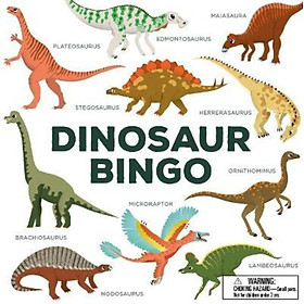 Sách - Dinosaur Bingo by Caroline Selmes (UK edition, paperback)
