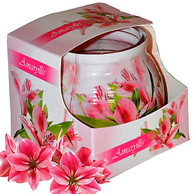 Mua Ly nến thơm tinh dầu Admit Amarylis 85g QT04536 - hoa thủy tiên