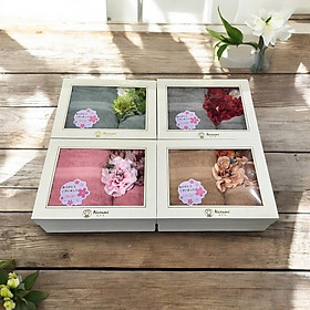 Mua BỘ KHĂN NEZUMI TOWEL Hàng chính hãng