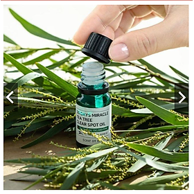 Tinh Dầu Tràm Trà Some By Mi 30 Days 10ml