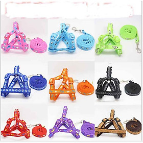 Dây Dắt 1m2 + Tặng Kèm Yếm Ngực hoặc Vòng Cổ, Nhiều Màu - Giao Ngẫu Nhiên